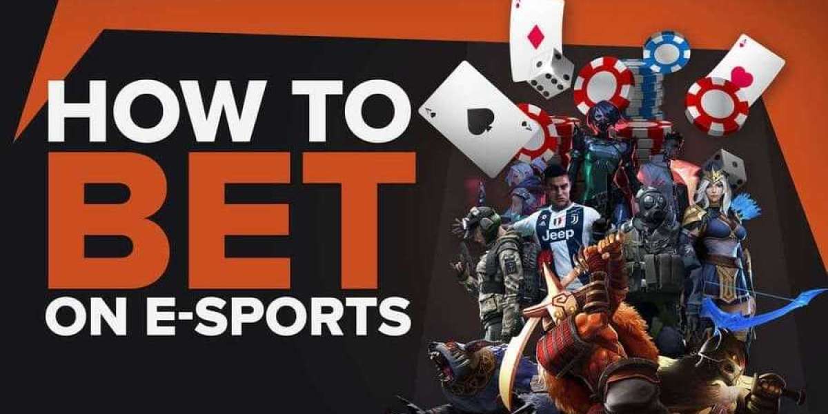 High Stakes and Higher Play: The Inside Scoop on Korean Sports Gambling Sites